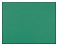 Algopix Similar Product 5 - Pacon 4Ply Railroad Board Holiday