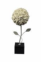 Algopix Similar Product 5 - Benjara Pleasant Polyresin Topiary Off