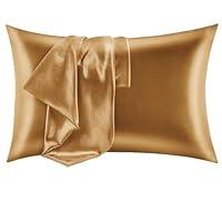 Algopix Similar Product 13 - CozyLux Satin Pillowcase for Hair and