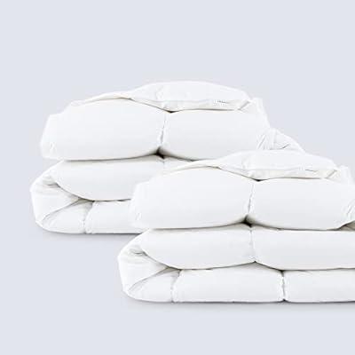 Best Deal for Everspread Essential Goose Down Comforter (Queen) and Soft