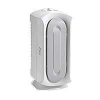 Algopix Similar Product 5 - Hamilton Beach TrueAir Air Purifier