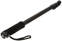 Algopix Similar Product 14 - Amazon Basics 67-Inch Monopod, Black
