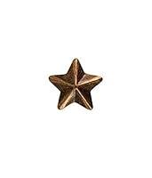Algopix Similar Product 18 - 1 Star 3/16" Bronze Ribbon Device