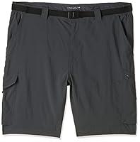 Algopix Similar Product 4 - Columbia Mens Silver Ridge Cargo