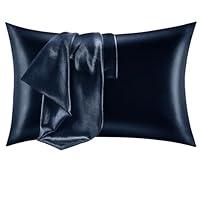 Algopix Similar Product 1 - CozyLux Satin Pillowcase for Hair and
