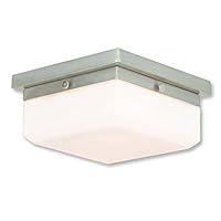 Algopix Similar Product 15 - Livex 6553691 Transitional Two Light