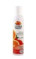 Algopix Similar Product 10 - Citrus Magic Air Freshener