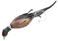 Algopix Similar Product 8 - Dokken Pheasant Dead Fowl