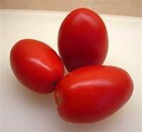 Algopix Similar Product 15 - ROMA TOMATOES FRESH VEGETABLE FRUIT
