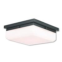 Algopix Similar Product 11 - Livex 6553792 Transitional Three Light