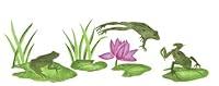 Algopix Similar Product 1 - Designer Stencils Frog and Lily Pads