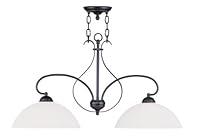 Algopix Similar Product 7 - Livex Lighting 478267 Brookside