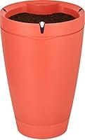 Algopix Similar Product 18 - Parrot Pot  Smart Connected Flower