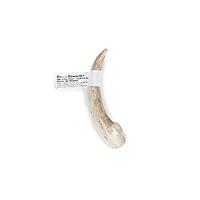 Algopix Similar Product 5 - Ranch Rewards 4Inch Deer Antler Chew