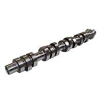 Algopix Similar Product 9 - DNJ CAM4173L Camshaft for