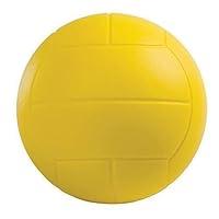 Algopix Similar Product 14 - CHAMPION SPORTS COATED FOAM BALL