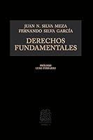 Algopix Similar Product 18 - Derechos fundamentales (Spanish Edition)