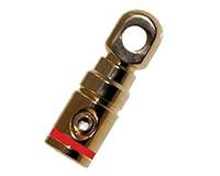 Algopix Similar Product 5 - Absolute GRT1001R Single Gold Power