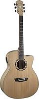 Algopix Similar Product 12 - Washburn Apprentice AG40CE with Case