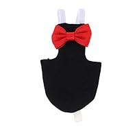 Algopix Similar Product 5 - balacoo Bird Flight Suit with