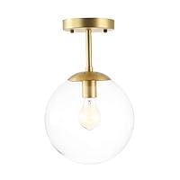 Algopix Similar Product 15 - Light Society Zeno Globe Semi Flush