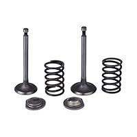 Algopix Similar Product 3 - Cancanle Intake Inlet Exhaust Valve