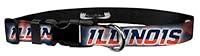 Algopix Similar Product 3 - Moose Pet Wear Dog Collar  University