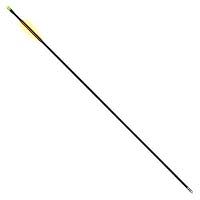 Algopix Similar Product 9 - SA Sports 28 Inch Youth Archery Arrows