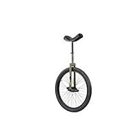 Algopix Similar Product 11 - SUN BICYCLES Unicycle 24 Inch Flat Top
