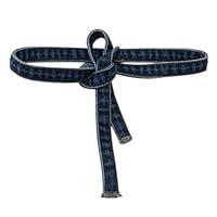 Algopix Similar Product 2 - Inzegao Denim Shirt Waist Belt for