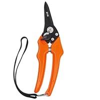 Algopix Similar Product 5 - Zenport Z116 Hoof and Floral Trimming