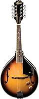 Algopix Similar Product 2 - Oscar Schmidt OM10E AStyle Spruce Top
