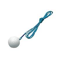 Algopix Similar Product 6 - Tabata Spare Practice Golf Ball with
