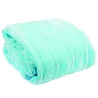 Algopix Similar Product 16 - Westerly Electric Blanket