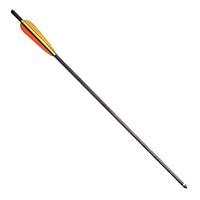 Algopix Similar Product 3 - SA Sports 6305778 20 Carbon Bolts 6