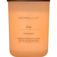 Algopix Similar Product 8 - Chesapeake Bay Candle Aromascape Joy