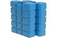 Algopix Similar Product 1 - 2 x reusable ice packs