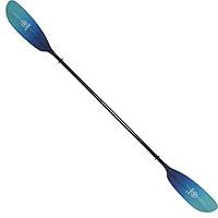 Algopix Similar Product 13 - Werner Camano Fiberglass Straight Shaft