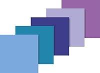 Algopix Similar Product 2 - Baier Schneider Tissue Paper 50 x 70