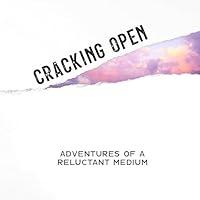 Algopix Similar Product 14 - Cracking Open Adventures of a