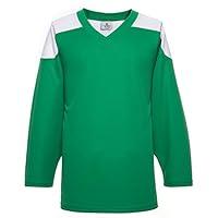 Algopix Similar Product 18 - EALER H100 Series Blank Ice Hockey