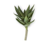 Algopix Similar Product 15 - KK Interiors 14485B 14 Inch Aloe Vera