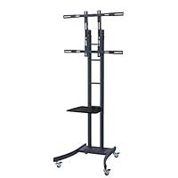 Algopix Similar Product 4 - Newstar PLASMAM2000E Mobile TV Floor