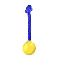 Algopix Similar Product 6 - Our Pets Grrrassic Durable Toss Toy