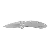 Algopix Similar Product 18 - Kershaw Scallion Stainless Steel Frame