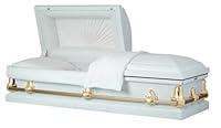 Algopix Similar Product 16 - Titan Casket Elegant Orion Series