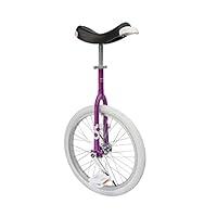 Algopix Similar Product 13 - QUAX Onlyone Unicycle 507 mm 24