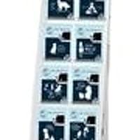 Algopix Similar Product 2 - ENJOY IT LLC Dog is Good Sticker Dispaly