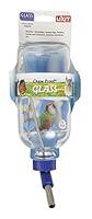 Algopix Similar Product 9 - LIXIT Chew Proof Glass Water Bottle 16oz