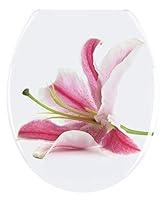 Algopix Similar Product 16 - Wenko Toilet seat Orchidrustproof